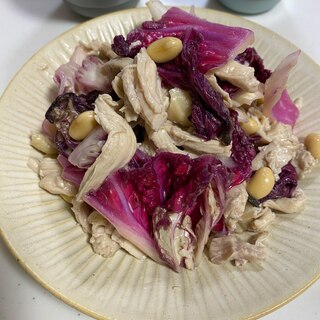 紫白菜とささみと大豆のサラダ